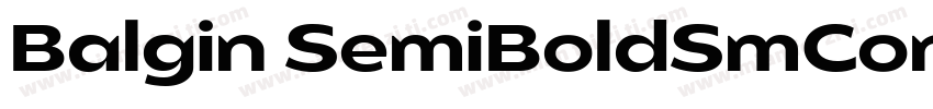 Balgin SemiBoldSmCon字体转换